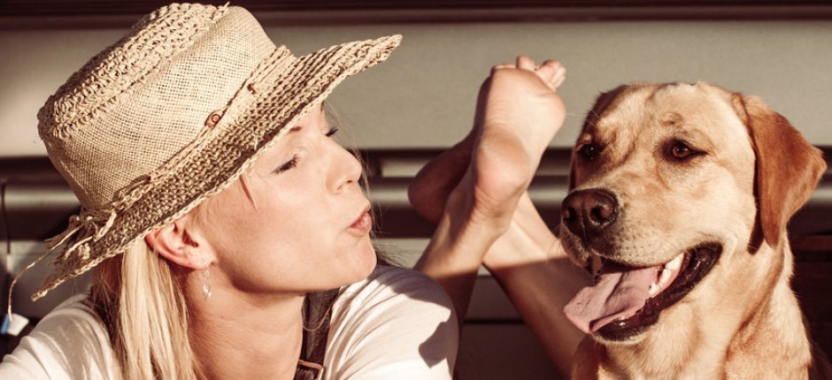 Urlaub mit Hund