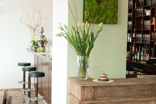 Auerstein Hotel & Restaurant Heidelberg - Bar