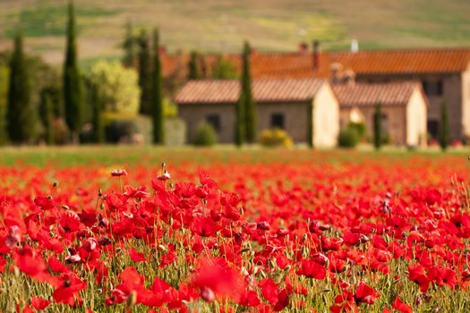 4*-Villa in der Toskana