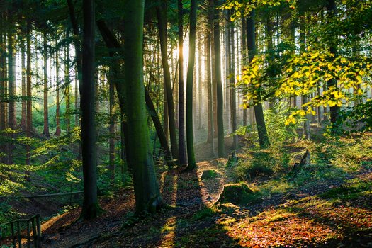 ibis Styles Arnsberg